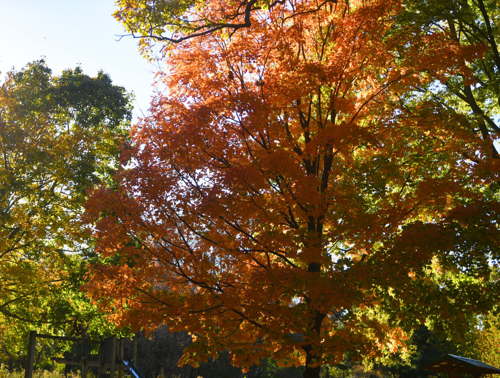 101420-qc-nws-fallcolors-003